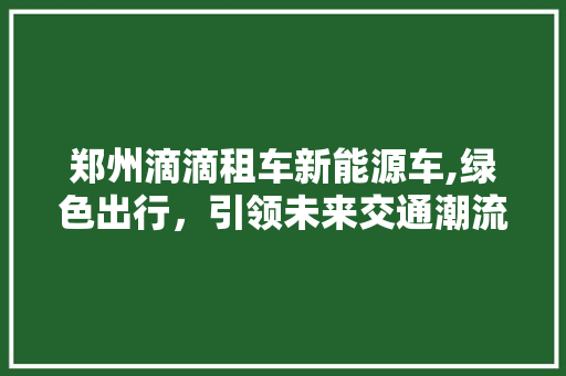郑州滴滴租车新能源车,绿色出行，引领未来交通潮流