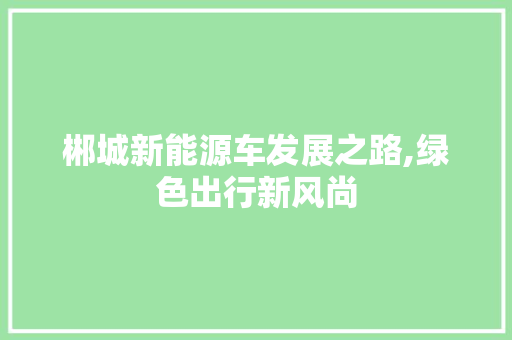 郴城新能源车发展之路,绿色出行新风尚