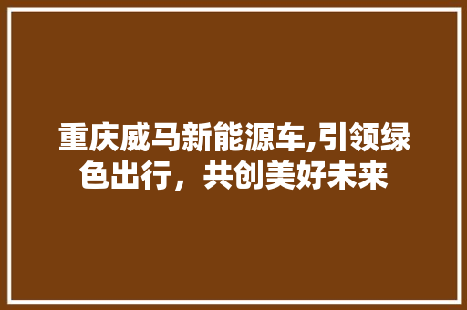 重庆威马新能源车,引领绿色出行，共创美好未来