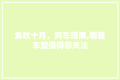 金秋十月，购车指南,哪些车型值得您关注 智能驾驶