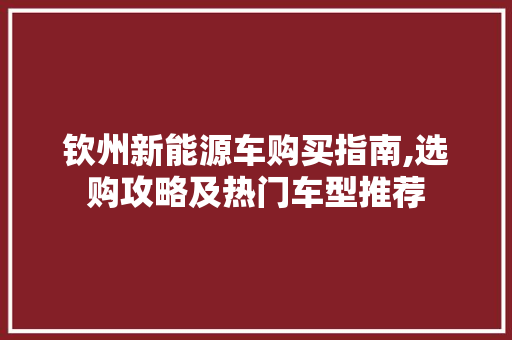 钦州新能源车购买指南,选购攻略及热门车型推荐 车型评测