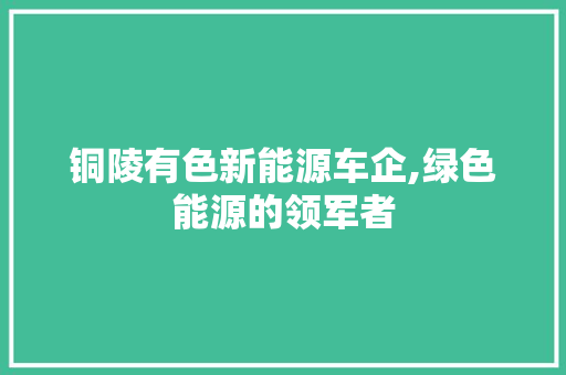 铜陵有色新能源车企,绿色能源的领军者 汽车展览