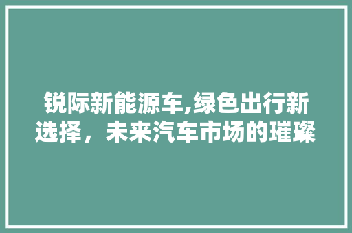 锐际新能源车,绿色出行新选择，未来汽车市场的璀璨星辰