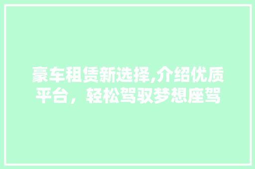 豪车租赁新选择,介绍优质平台，轻松驾驭梦想座驾 新能源汽车