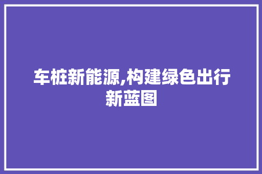 车桩新能源,构建绿色出行新蓝图
