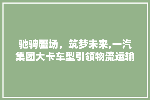 驰骋疆场，筑梦未来,一汽集团大卡车型引领物流运输新篇章 智能驾驶