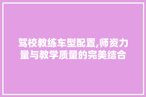 驾校教练车型配置,师资力量与教学质量的完美结合 新能源汽车