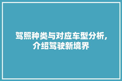 驾照种类与对应车型分析,介绍驾驶新境界