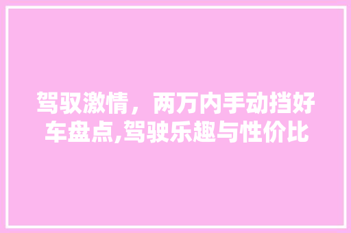 驾驭激情，两万内手动挡好车盘点,驾驶乐趣与性价比的完美结合