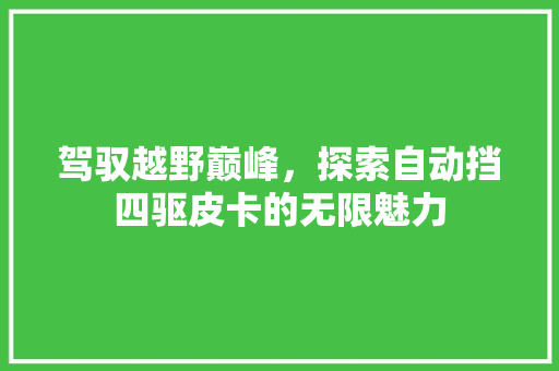 驾驭越野巅峰，探索自动挡四驱皮卡的无限魅力