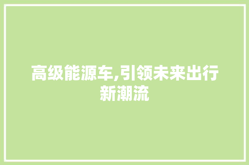 高级能源车,引领未来出行新潮流 车联网技术
