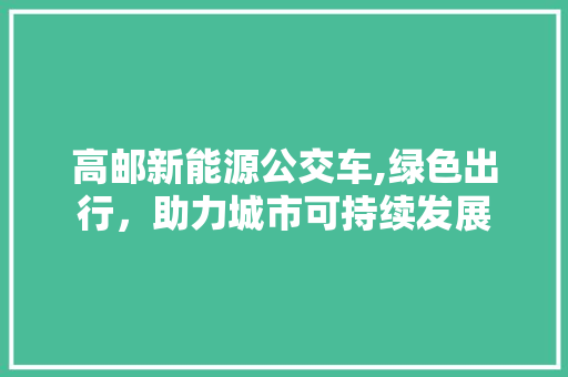 高邮新能源公交车,绿色出行，助力城市可持续发展