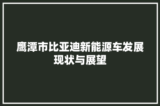 鹰潭市比亚迪新能源车发展现状与展望 车联网技术