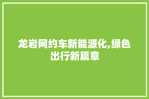 龙岩网约车新能源化,绿色出行新篇章