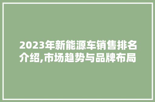2023年新能源车销售排名介绍,市场趋势与品牌布局