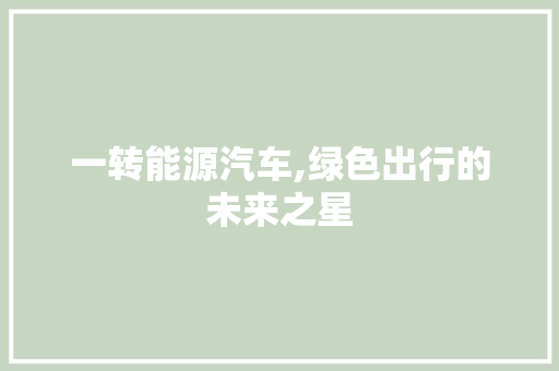 一转能源汽车,绿色出行的未来之星