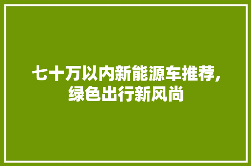 七十万以内新能源车推荐,绿色出行新风尚