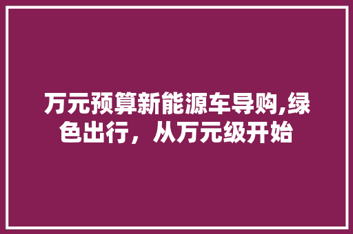 万元预算新能源车导购,绿色出行，从万元级开始