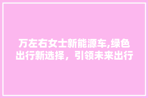 万左右女士新能源车,绿色出行新选择，引领未来出行潮流