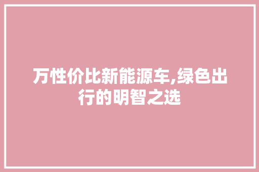 万性价比新能源车,绿色出行的明智之选
