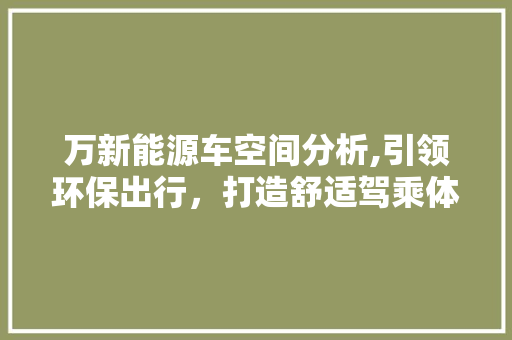 万新能源车空间分析,引领环保出行，打造舒适驾乘体验