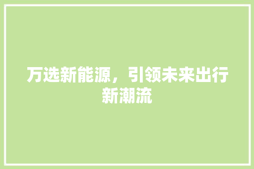 万选新能源，引领未来出行新潮流