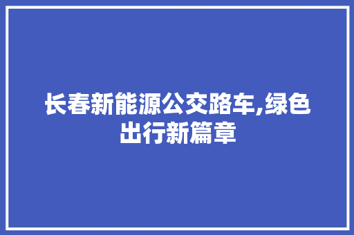长春新能源公交路车,绿色出行新篇章
