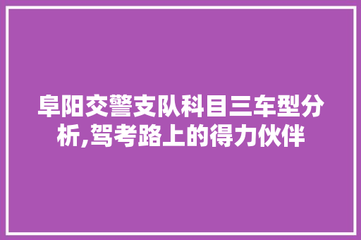阜阳交警支队科目三车型分析,驾考路上的得力伙伴