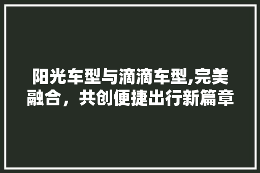阳光车型与滴滴车型,完美融合，共创便捷出行新篇章 车载导航