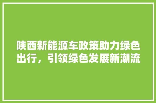 陕西新能源车政策助力绿色出行，引领绿色发展新潮流