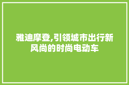 雅迪摩登,引领城市出行新风尚的时尚电动车 车载导航