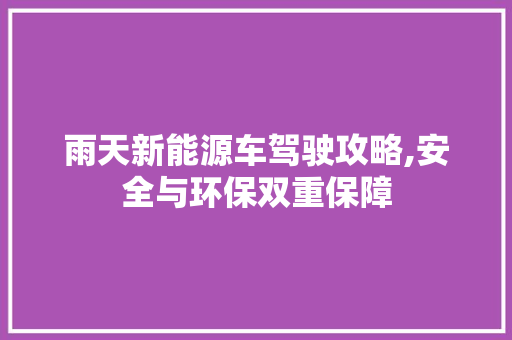 雨天新能源车驾驶攻略,安全与环保双重保障