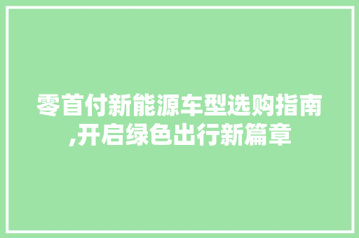 零首付新能源车型选购指南,开启绿色出行新篇章