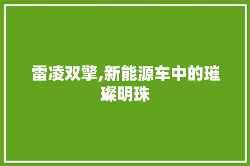 雷凌双擎,新能源车中的璀璨明珠