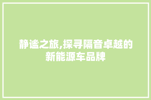 静谧之旅,探寻隔音卓越的新能源车品牌 新能源汽车