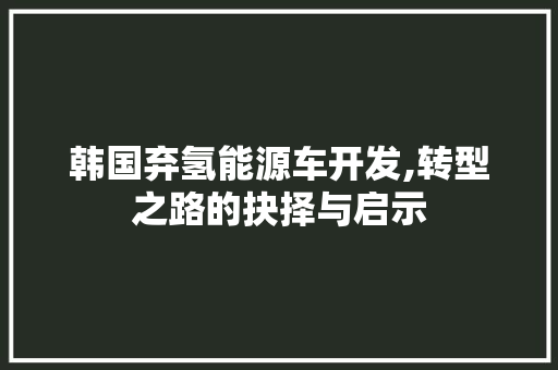 韩国弃氢能源车开发,转型之路的抉择与启示