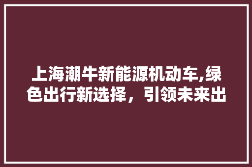 上海潮牛新能源机动车,绿色出行新选择，引领未来出行潮流