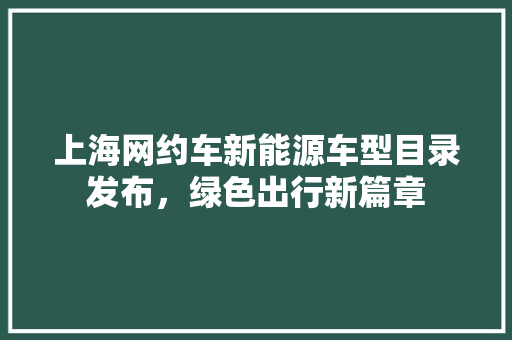 上海网约车新能源车型目录发布，绿色出行新篇章