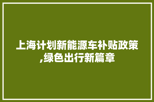 上海计划新能源车补贴政策,绿色出行新篇章