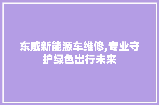 东威新能源车维修,专业守护绿色出行未来