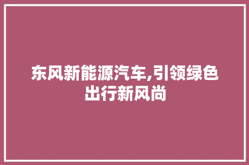 东风新能源汽车,引领绿色出行新风尚