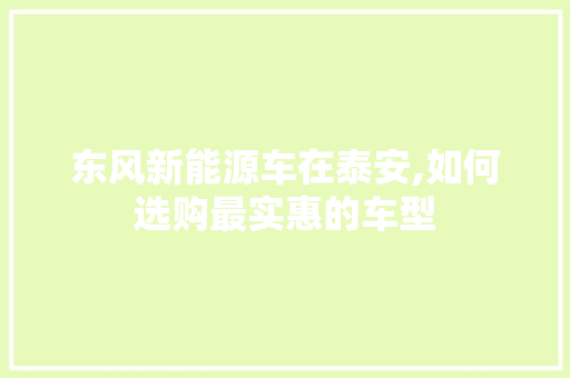 东风新能源车在泰安,如何选购最实惠的车型