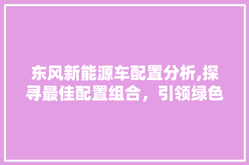 东风新能源车配置分析,探寻最佳配置组合，引领绿色出行新风尚