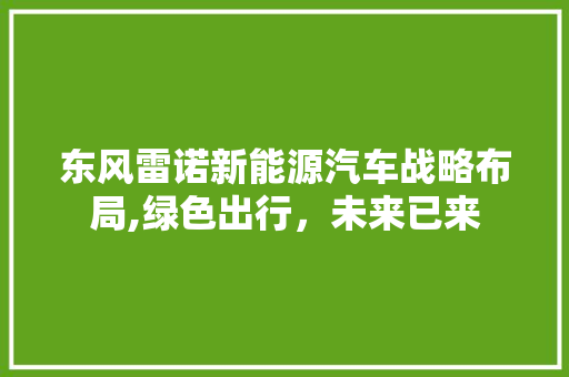 东风雷诺新能源汽车战略布局,绿色出行，未来已来