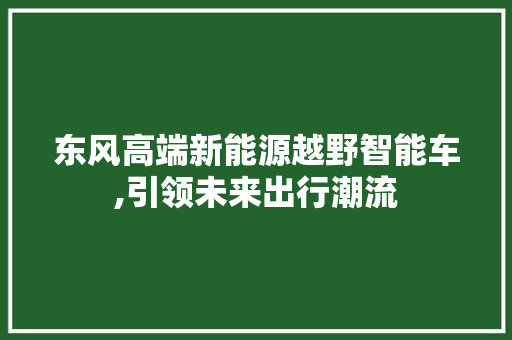 东风高端新能源越野智能车,引领未来出行潮流