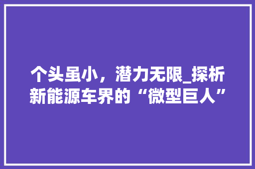 个头虽小，潜力无限_探析新能源车界的“微型巨人”