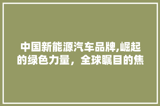 中国新能源汽车品牌,崛起的绿色力量，全球瞩目的焦点
