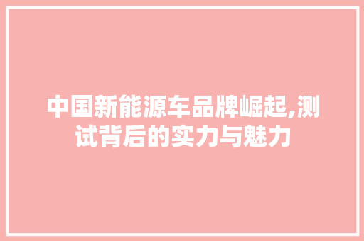 中国新能源车品牌崛起,测试背后的实力与魅力