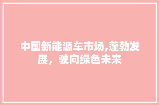 中国新能源车市场,蓬勃发展，驶向绿色未来
