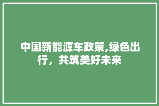 中国新能源车政策,绿色出行，共筑美好未来